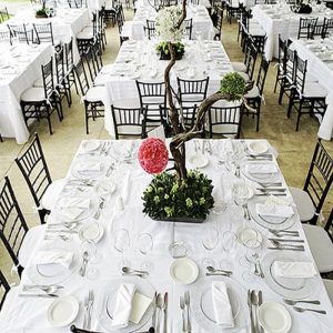 כיסאות פלסטיק מעוצבים